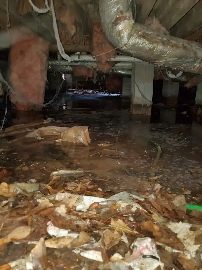Crawl space flood assessment for Commercial Water Damage Restoration in Waipio