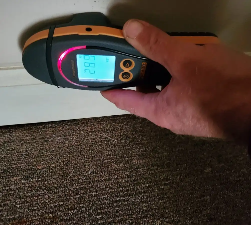 Moisture detection at baseboard during Burst Pipe Cleanup in Waipio